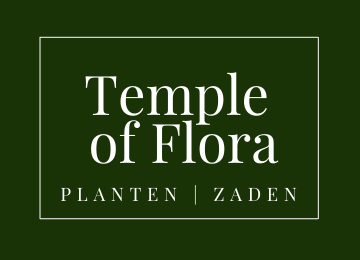 Temple of Flora